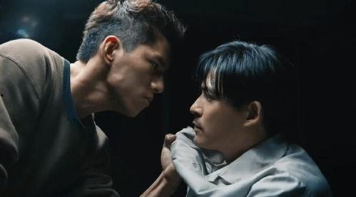 国产性虐,揭秘国产影视作品中的独特魅力与争议  第3张